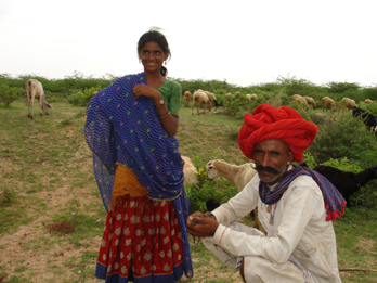 Un pastore in Rajasthan, India